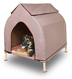 Cool Cot Dog House