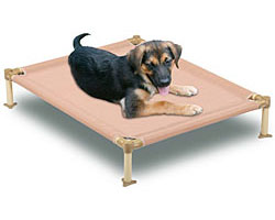 Cool Cot Dog Bed