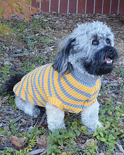 Reknitz� Reclaimed Cotton Dog Sweater
