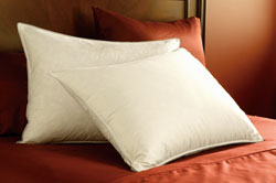 Pacific Coast� Eurofeather� Fill Pillow