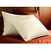 Pacific Coast Eurofeather Fill Pillow