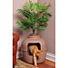 Hidden Litter Box