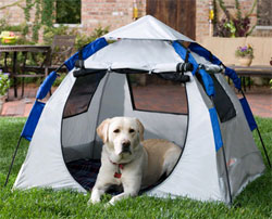 Instant Dog House - Portable Pet Shelter