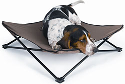 Breezy Bunk Elevated Dog Bed