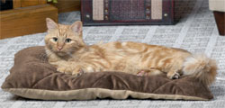 Quilted Thermo-Bed: Heated Cat Bed