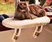 Thermo Kitty Sill: Heated Windowsill Cat Bed