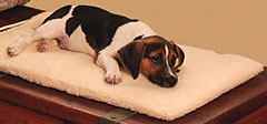 Thermo-Pet Mat