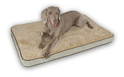 Memory Sleeper Pet Bed (Non-heated)