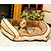 Bolster Couch Dog Bed