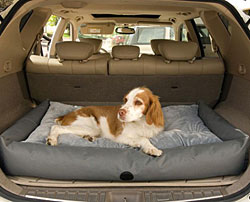 Travel/SUV Dog Bed