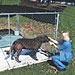 Kennel Shade Cloth