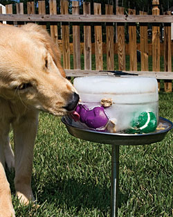 Kool-Dogz Ice Treat Maker