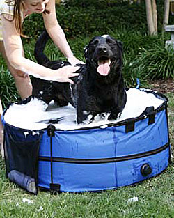 Portable Dog Tub and Swimming Pool