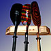 RAX Vertical Kayak / Canoe Paddle Racks