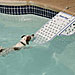 Skamper Ramp Pet Water Safety Ramp