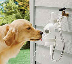 Automatic Outdoor Pet Drinking Fountain
