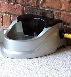 Automatic Pet Waterer