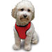Cooling and Warming Vest for Dogs