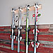 Alpine Wall Mounted Ski Storage Rack - Two and Four Pair