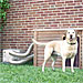 Small Room & Dog House Air Conditioner Unit