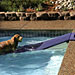 Floating Water Ramp for Dogs