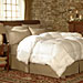 Pacific Coast Medium Warmth Down Comforter