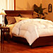 Pacific Coast SuperLoft Down Comforter