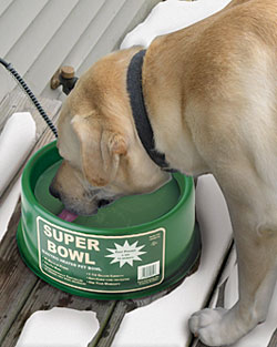 Heated Dog Bowls