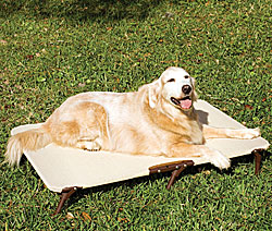 Foldable Pet Bed (Ultra-portable)