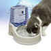 CleanFlow Filtered Water Bowl for Cats